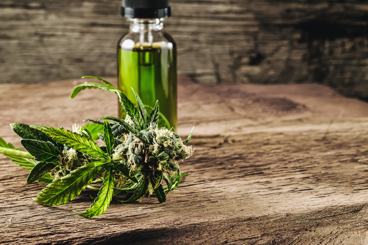 Nouvelles lois françaises sur le CBD et le CBD en Europe