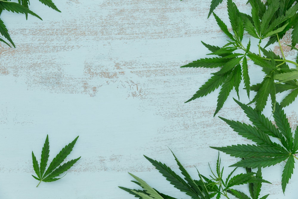 L'Agence du Médicament Interdit la Vente du Dérivé de Cannabis HHC : Quels Impacts pour les Consommateurs et l'Industrie ?