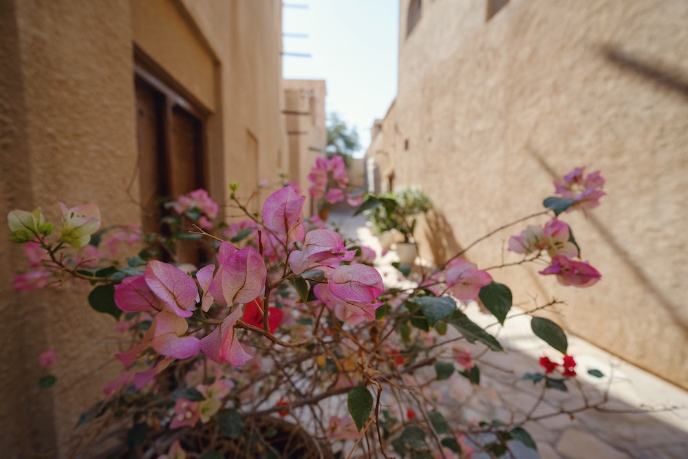 Optimisez vos affaires : Créer une société Free-Zone à Dubaï